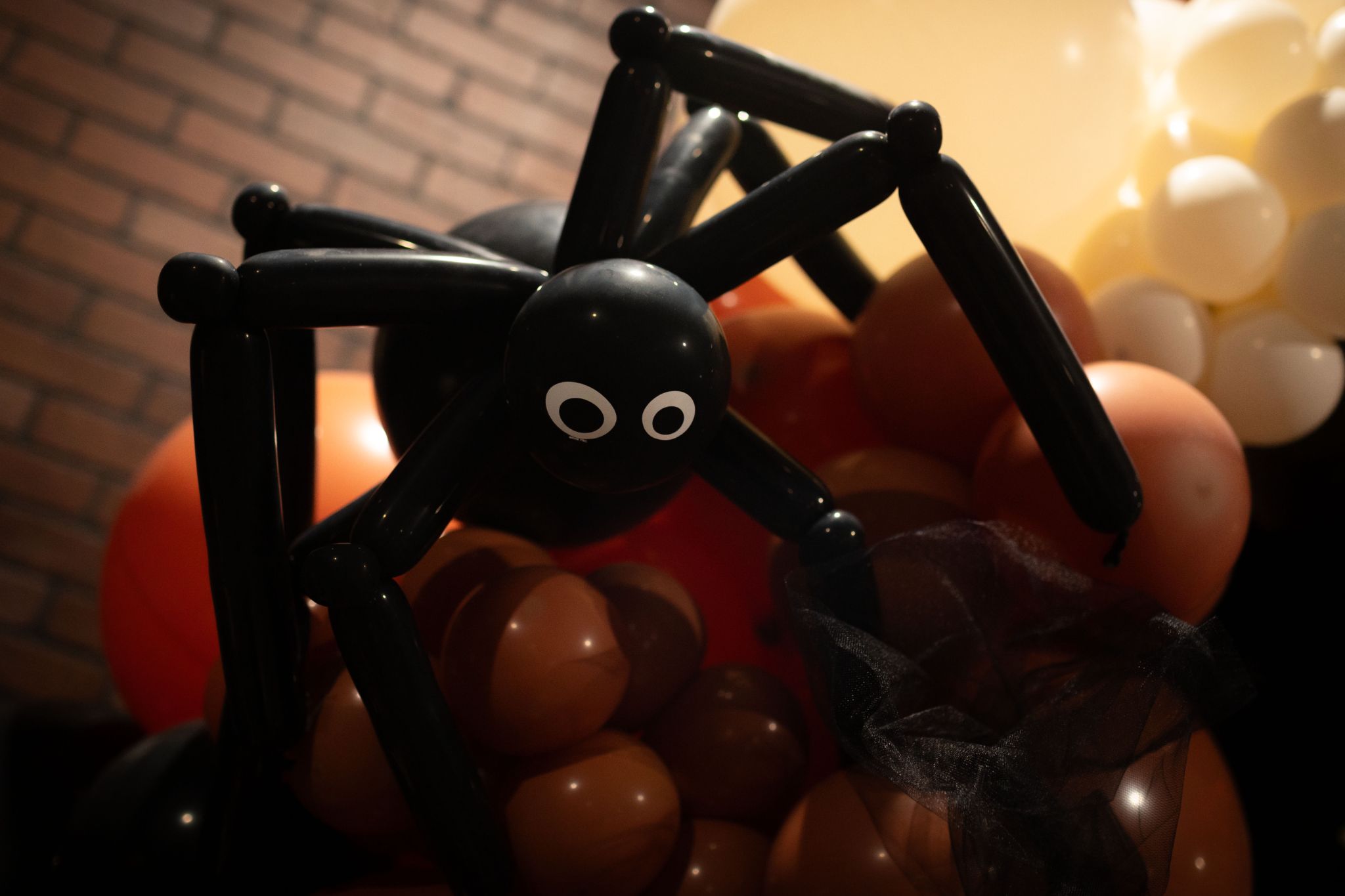 SENS Photography Events Halloween Quiz 006